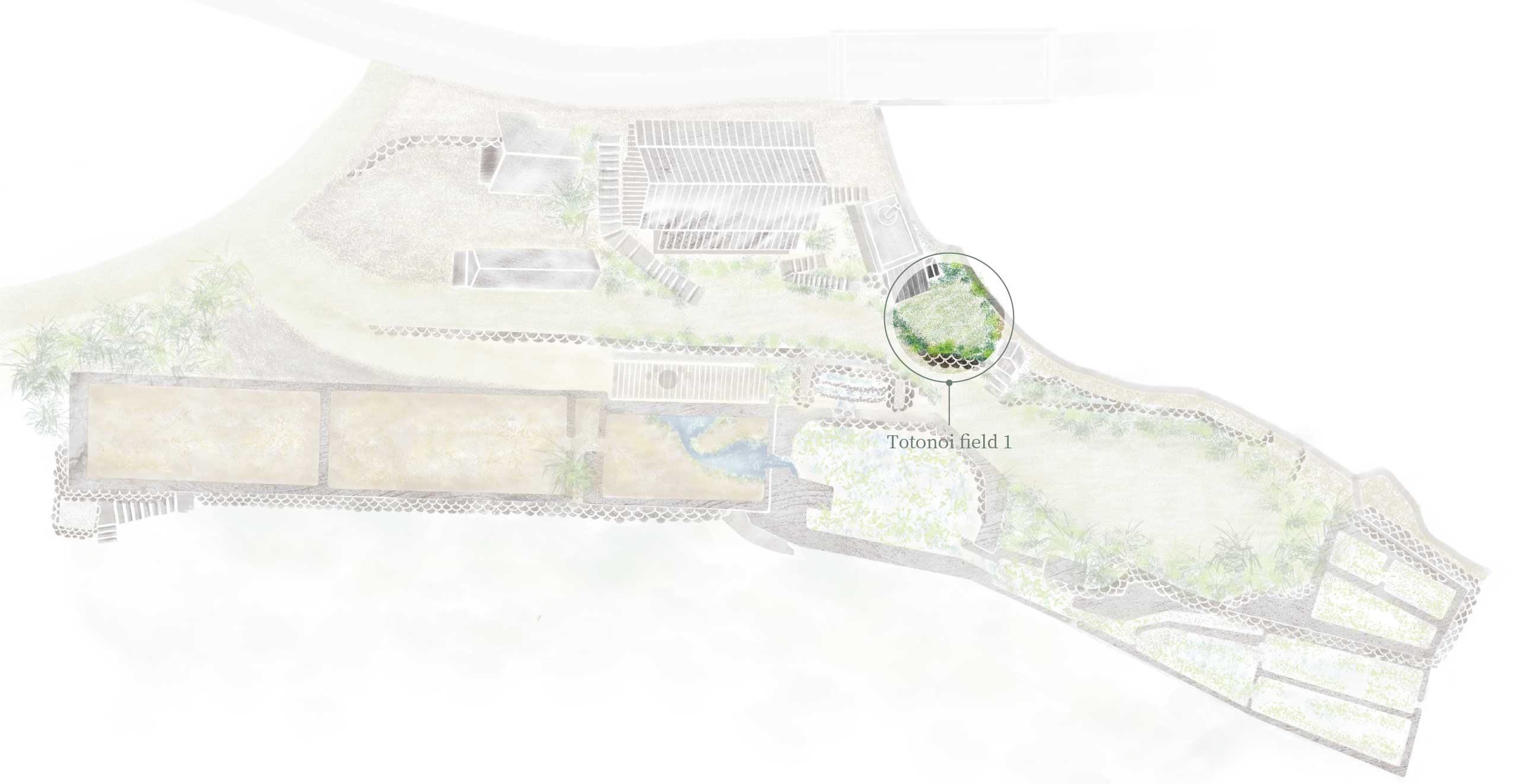 Air bathing Totonoi field①